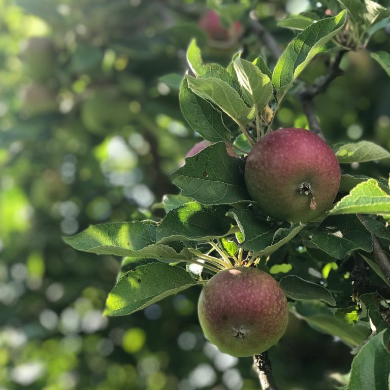 Ein Sonnenstrahl vom Himmel